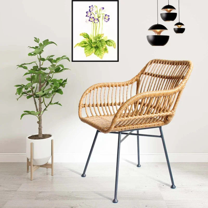 Nordic Dining Chairs for Kitch - đánh giá và giá Outdoor Furniture Metal Chairs